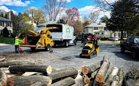 Avon Lake, OH Tree Care  Company