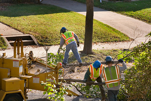 Best Weed Control  in Avon Lake, OH