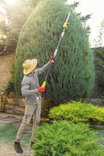 Best Lawn Maintenance Plans  in Avon Lake, OH